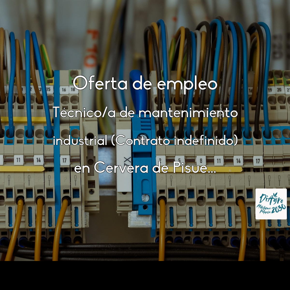 Foto empresa